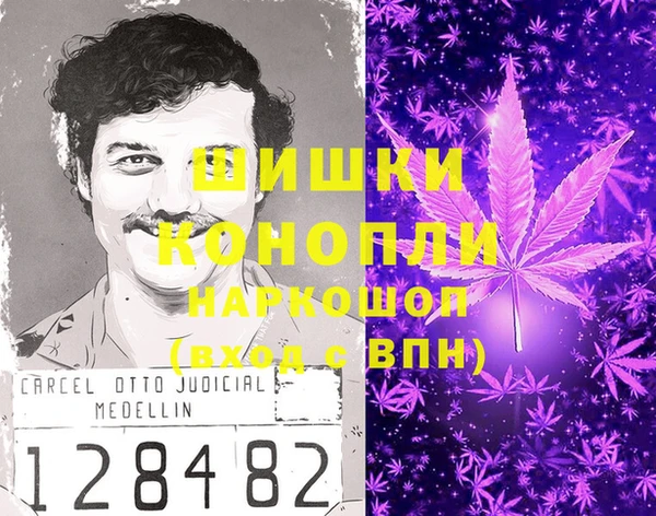 сатива Новокубанск