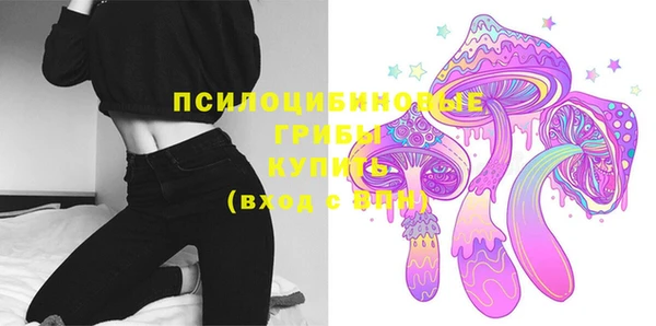 мдпв Новодвинск