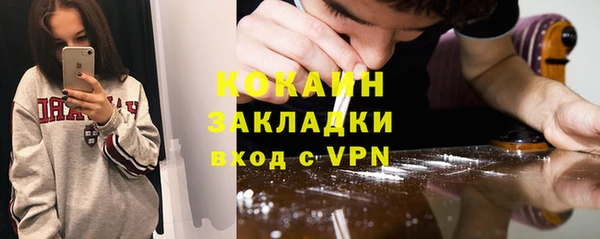 сатива Новокубанск