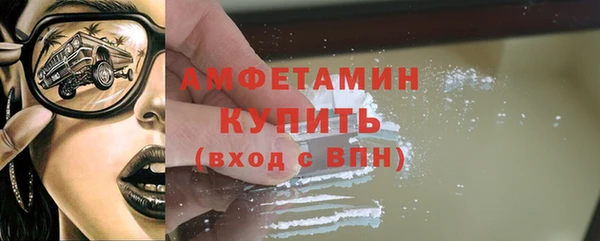 сатива Новокубанск