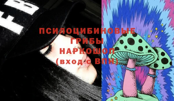 СК Новозыбков