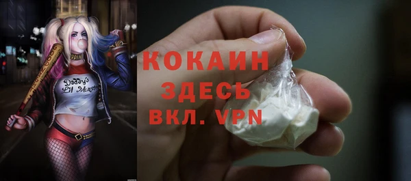 СК Новозыбков