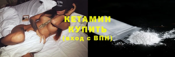 сатива Новокубанск