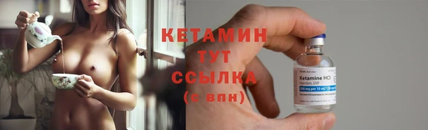 прущие грибы Валдай
