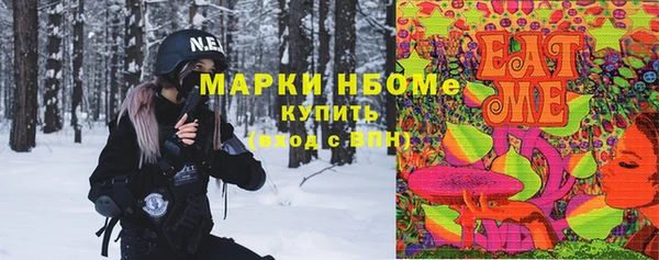 СК Новозыбков
