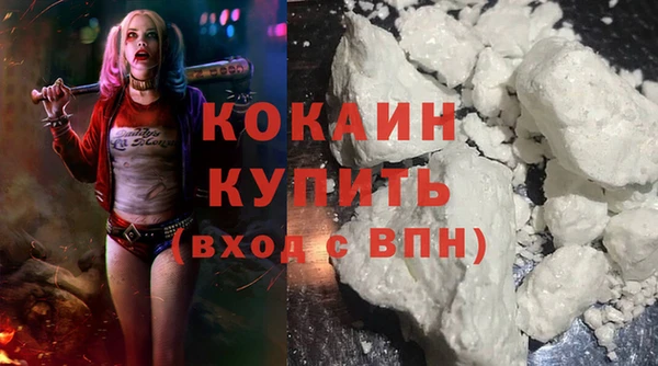 сатива Новокубанск