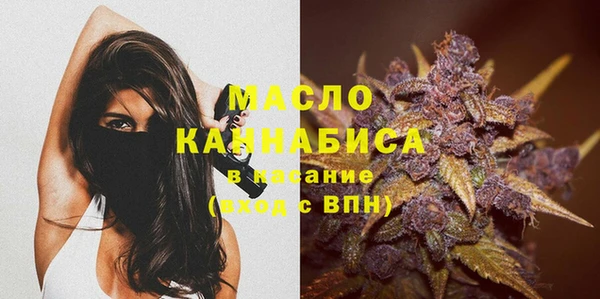 сатива Новокубанск