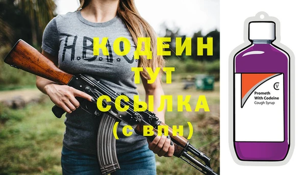 СК Новозыбков