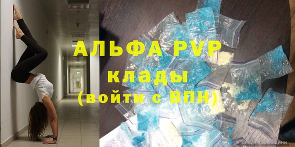 сатива Новокубанск