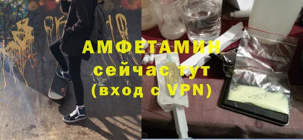 сатива Новокубанск