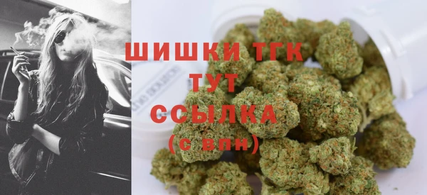СК Новозыбков