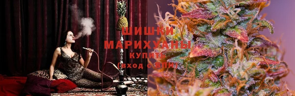 мдпв Новодвинск