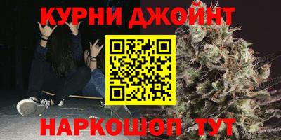 индика Бийск