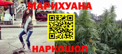 индика Бийск