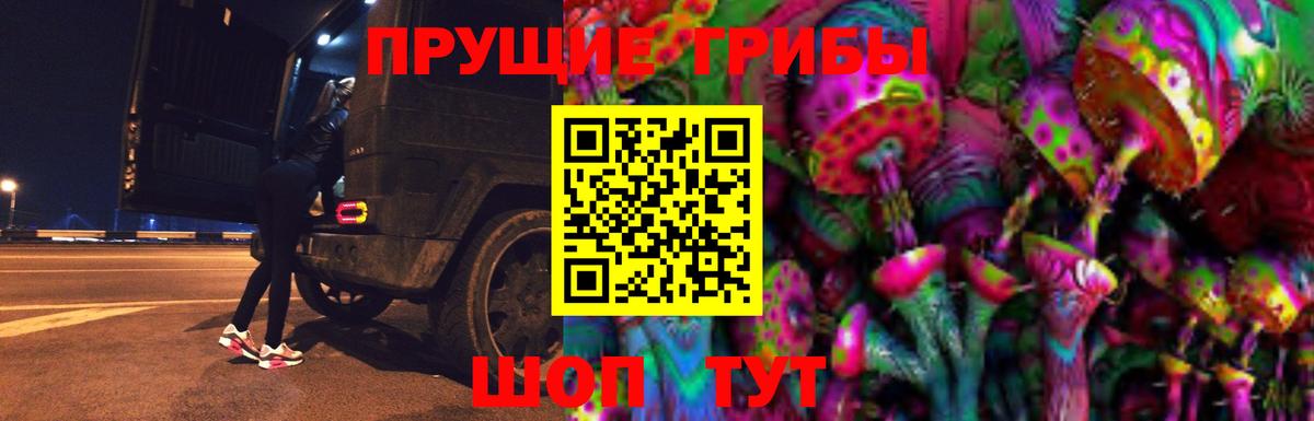 хочу   Кузнецк  Псилоцибиновые грибы мухоморы 